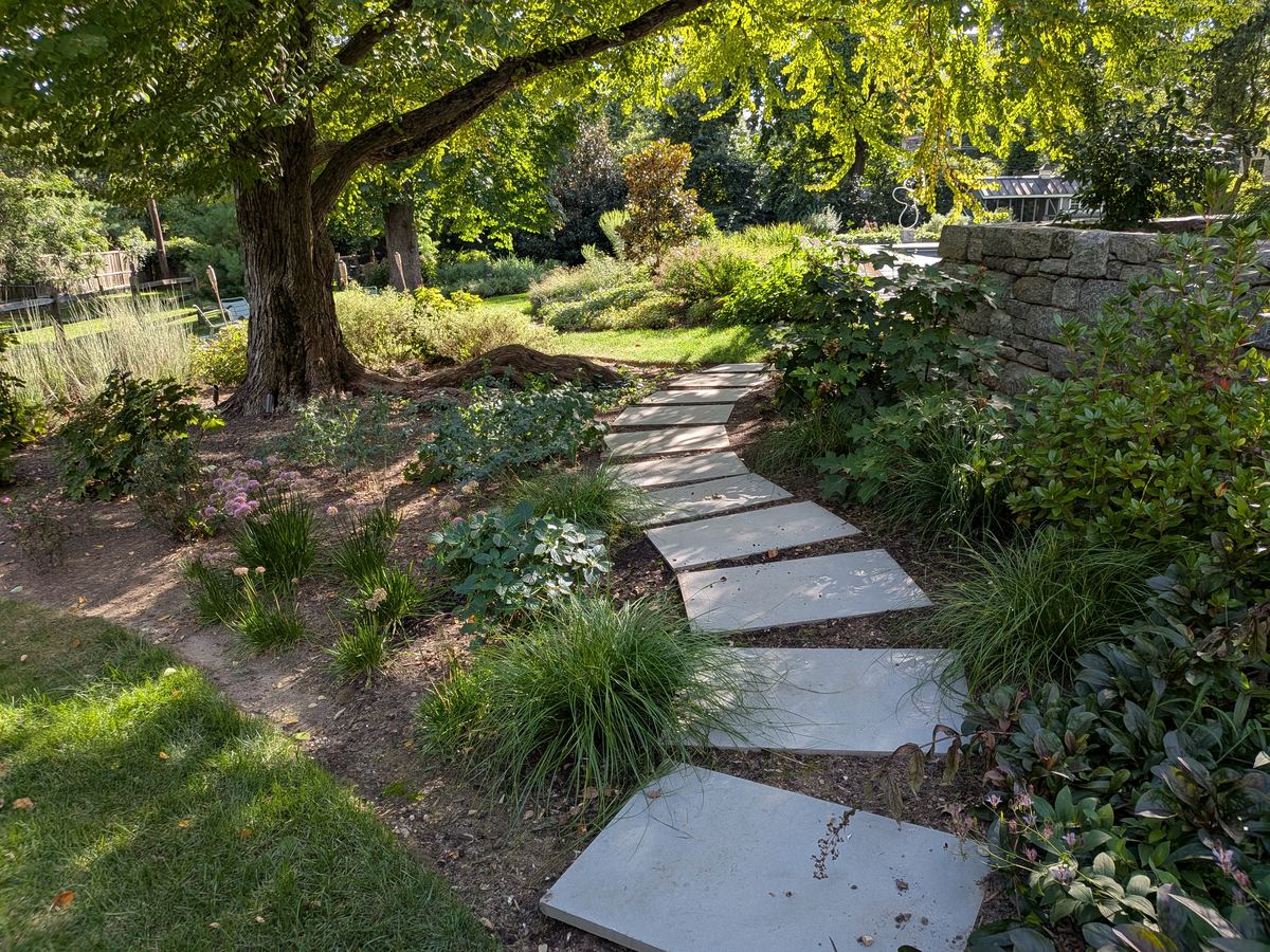 Flagstone stepping path through a garden