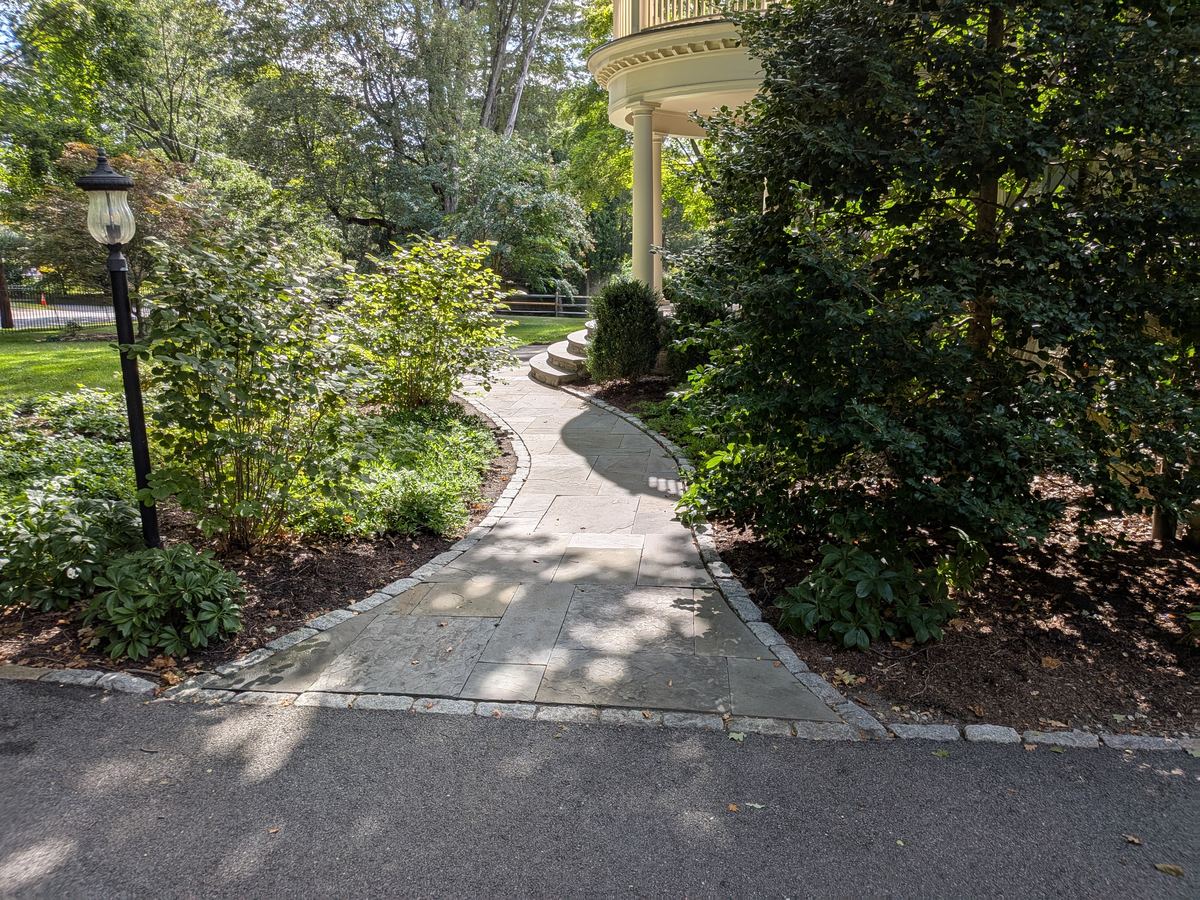 Curved garden path at dusk